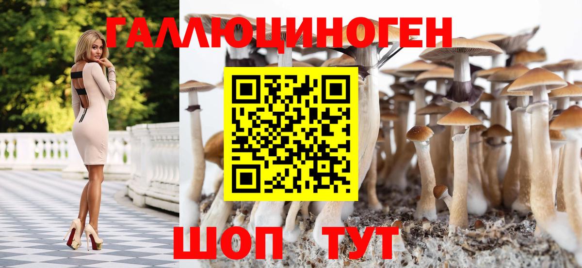 Галлюциногенные грибы мицелий  Псилоцибиновые грибы прущие грибы  Вход с VPN  Узловая 
